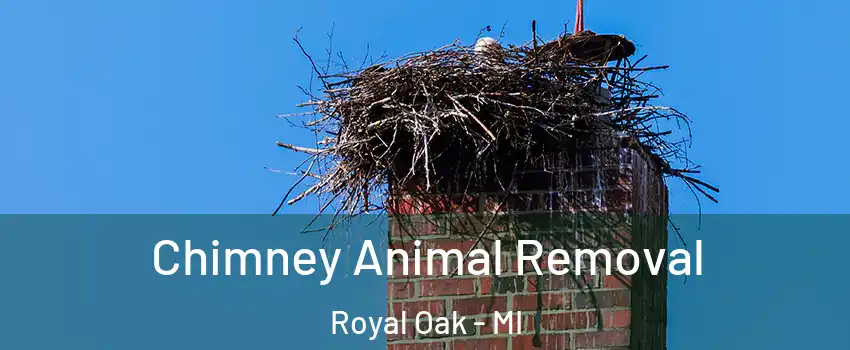 Chimney Animal Removal Royal Oak - MI