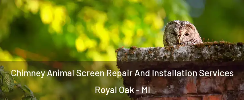  Chimney Animal Screen Repair And Installation Services Royal Oak - MI