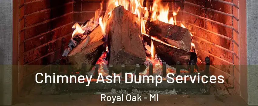  Chimney Ash Dump Services Royal Oak - MI