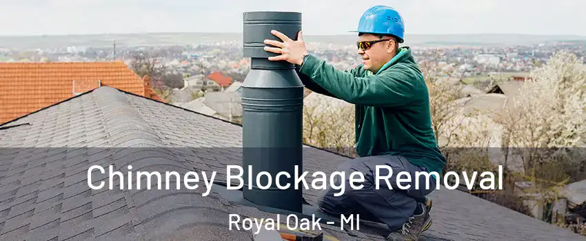  Chimney Blockage Removal Royal Oak - MI
