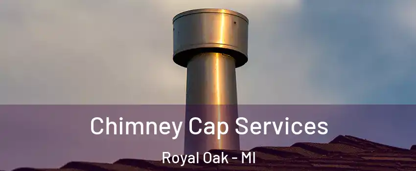  Chimney Cap Services Royal Oak - MI