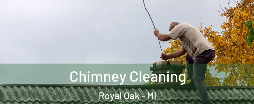  Chimney Cleaning Royal Oak - MI