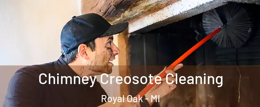  Chimney Creosote Cleaning Royal Oak - MI