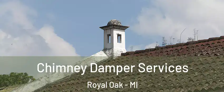  Chimney Damper Services Royal Oak - MI