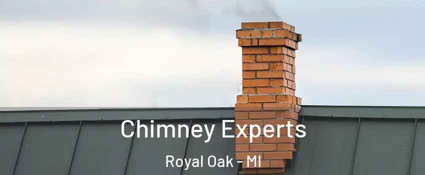  Chimney Experts Royal Oak - MI