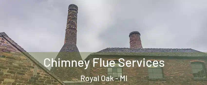  Chimney Flue Services Royal Oak - MI