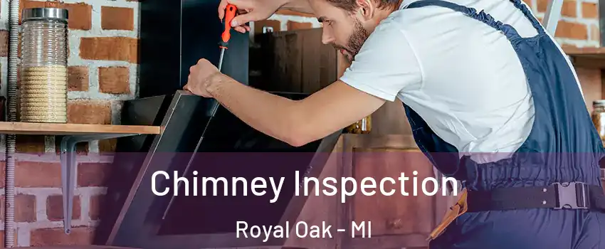  Chimney Inspection Royal Oak - MI