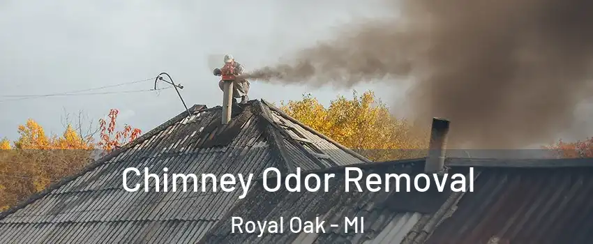  Chimney Odor Removal Royal Oak - MI