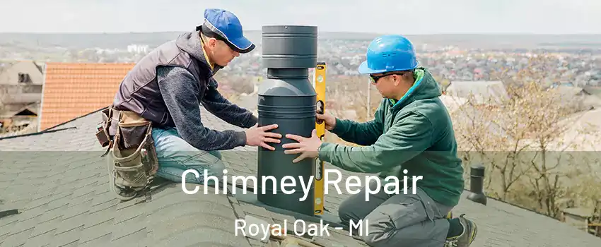  Chimney Repair Royal Oak - MI