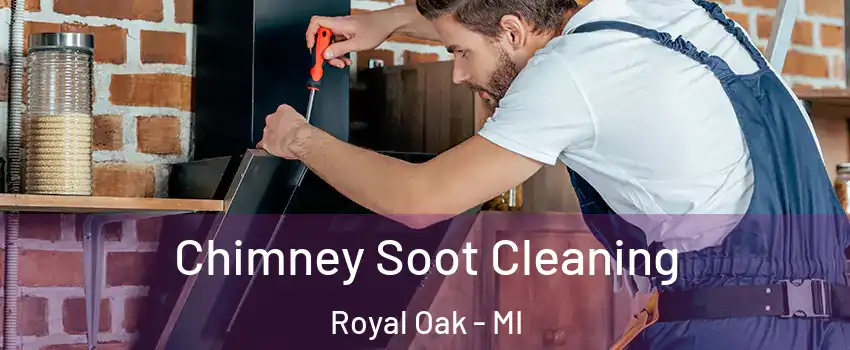  Chimney Soot Cleaning Royal Oak - MI