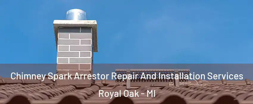  Chimney Spark Arrestor Repair And Installation Services Royal Oak - MI