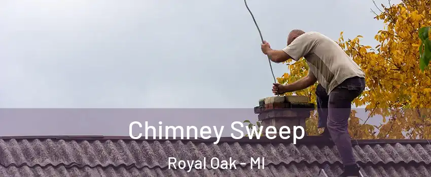  Chimney Sweep Royal Oak - MI