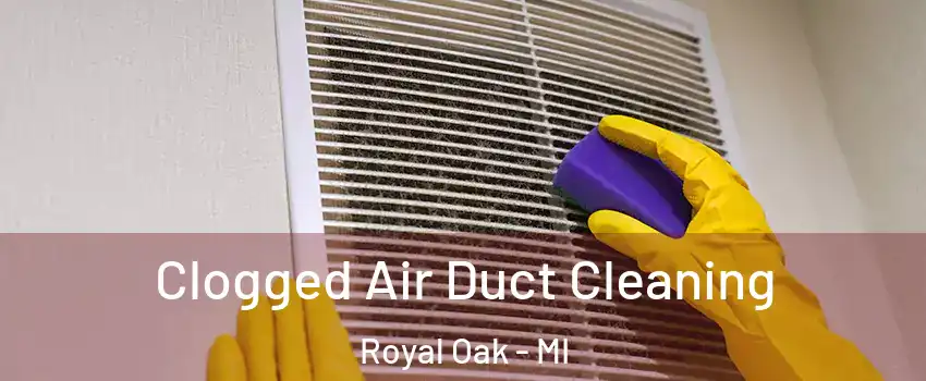  Clogged Air Duct Cleaning Royal Oak - MI