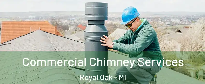  Commercial Chimney Services Royal Oak - MI