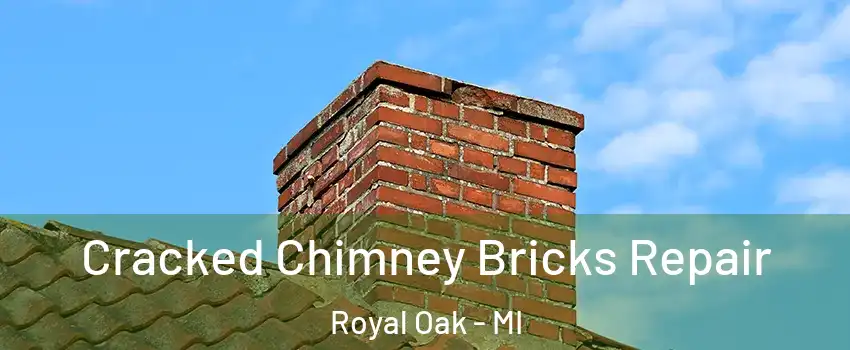  Cracked Chimney Bricks Repair Royal Oak - MI