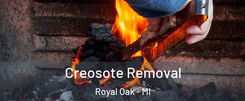  Creosote Removal Royal Oak - MI