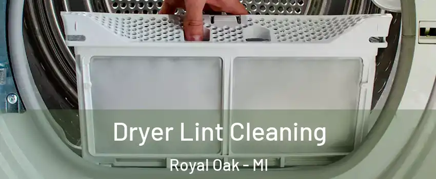  Dryer Lint Cleaning Royal Oak - MI