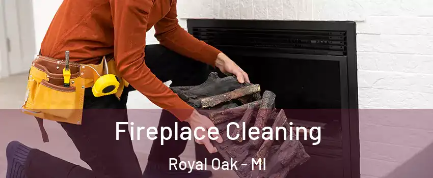  Fireplace Cleaning Royal Oak - MI