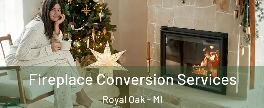  Fireplace Conversion Services Royal Oak - MI