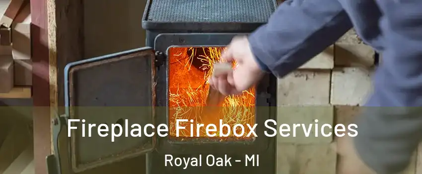  Fireplace Firebox Services Royal Oak - MI