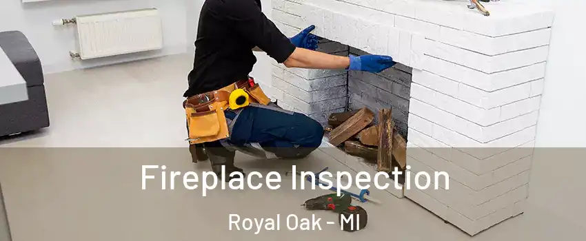  Fireplace Inspection Royal Oak - MI