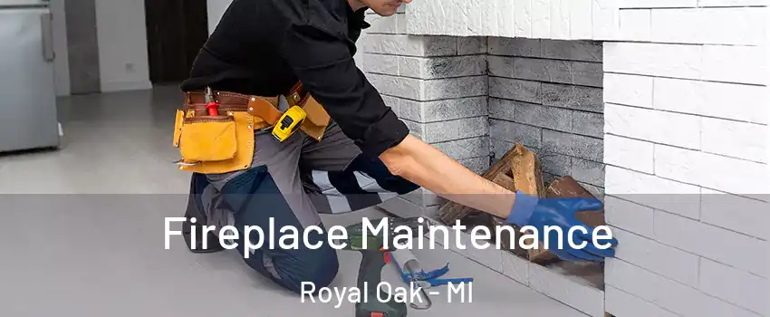 Fireplace Maintenance Royal Oak - MI