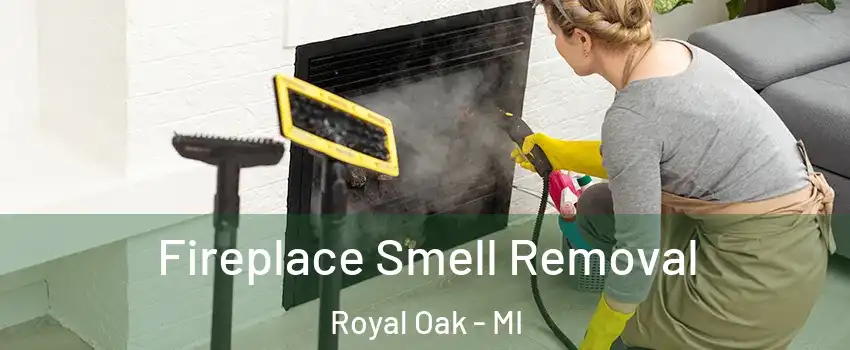  Fireplace Smell Removal Royal Oak - MI
