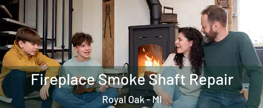  Fireplace Smoke Shaft Repair Royal Oak - MI