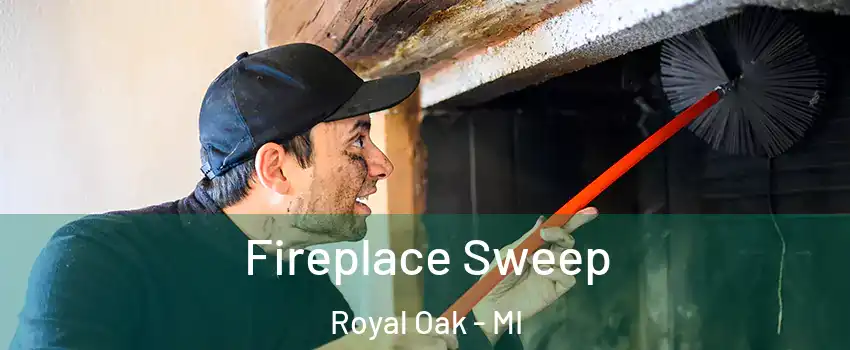  Fireplace Sweep Royal Oak - MI
