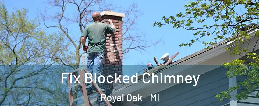  Fix Blocked Chimney Royal Oak - MI