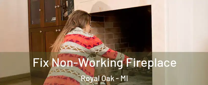  Fix Non-Working Fireplace Royal Oak - MI