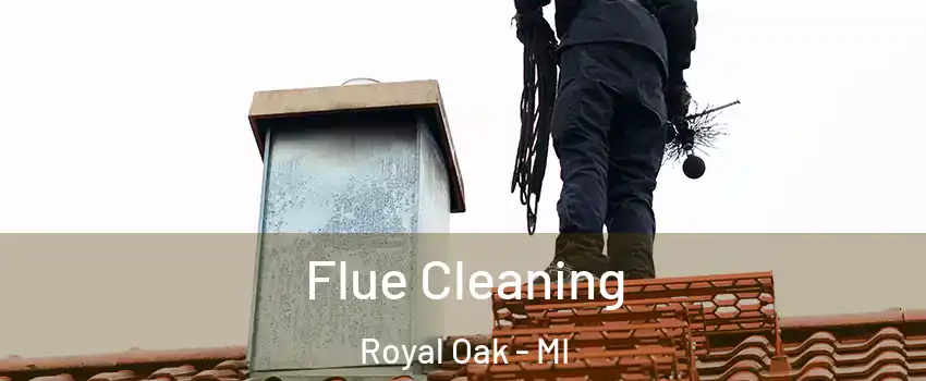  Flue Cleaning Royal Oak - MI