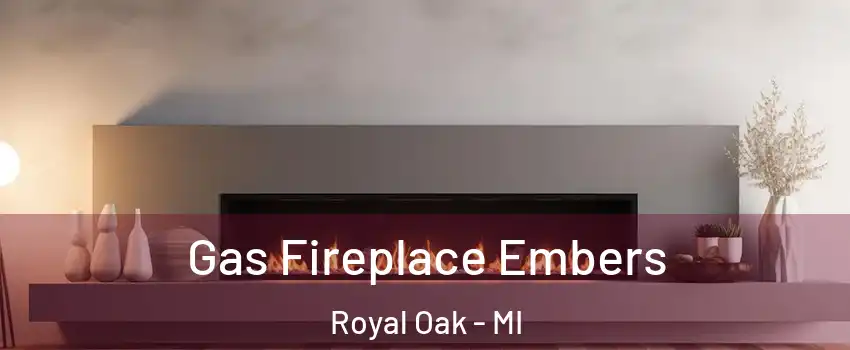  Gas Fireplace Embers Royal Oak - MI