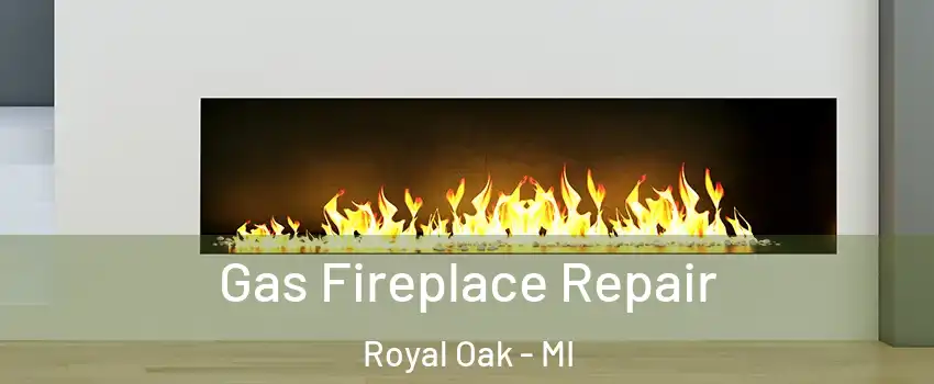  Gas Fireplace Repair Royal Oak - MI