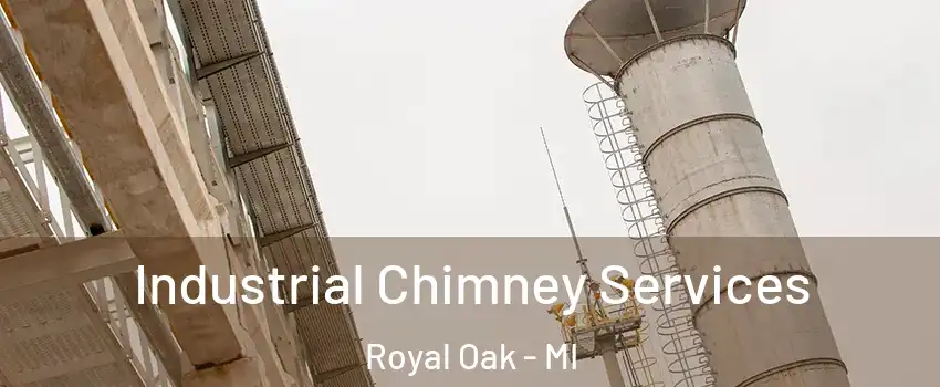  Industrial Chimney Services Royal Oak - MI