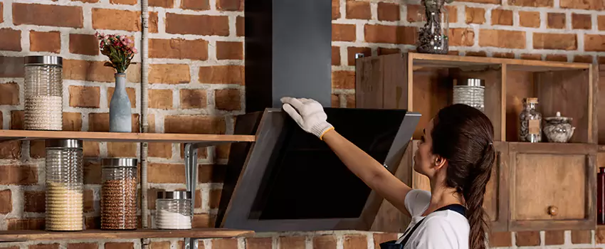 Chimney Installation in Royal Oak, MI