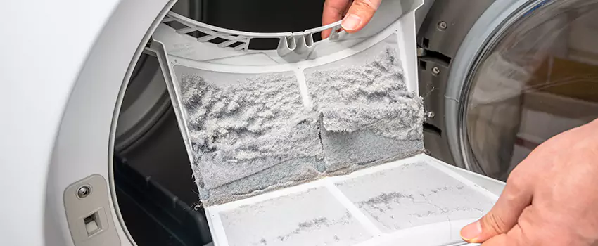Best Dryer Lint Removal Company in Royal Oak, Michigan