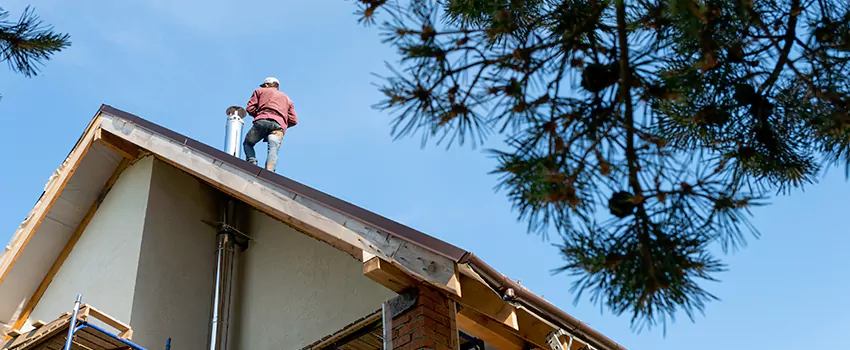 Birds Removal Contractors from Chimney in Royal Oak, MI