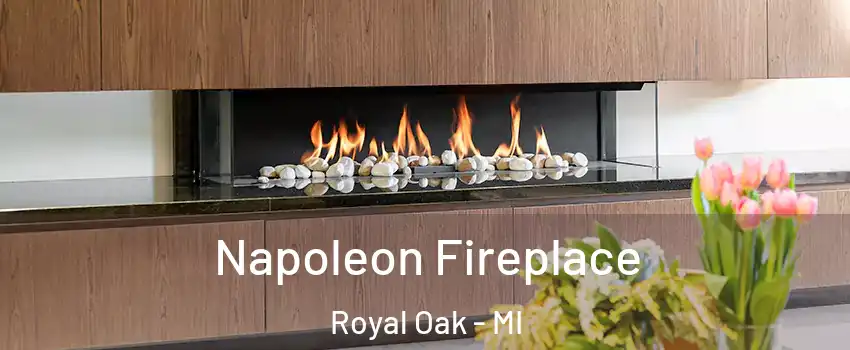  Napoleon Fireplace Royal Oak - MI