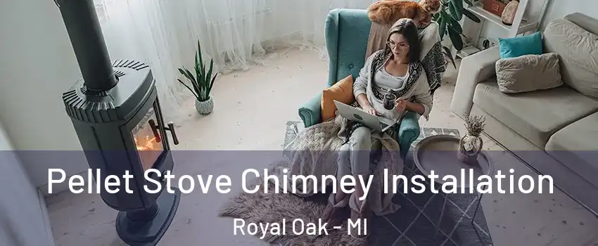 Pellet Stove Chimney Installation Royal Oak - MI